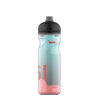SIGG - Pulsar Therm Frost 0.65 L